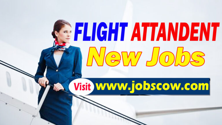 Flight Attendant Jobs 2025: All Airline Vacancies